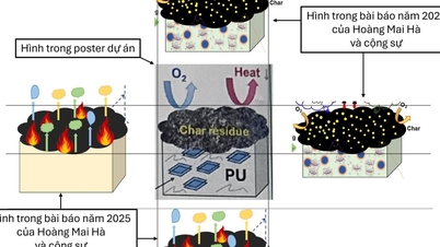 Le ministère de l'Éducation et de la Formation vérifiera l'intégrité du concours de recherche scientifique et technologique.
