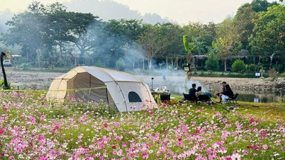Developing agricultural tourism requires depth.