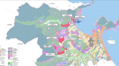 Виконання завдань зі створення зони вільної торгівлі в Данангу.