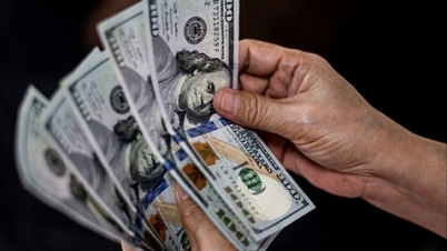 زرمبادلہ کی شرح، USD/VND کی شرح تبادلہ آج، 30 مارچ: کیا امریکی ڈالر کو محفوظ پناہ گاہ کے اثاثے کے طور پر اس کے کردار سے فائدہ ہوگا؟