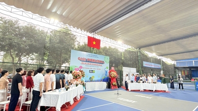 Ninh Binh-provinsens mesterskap i pickleball for offentlige tjenestemenn og embetsmenn 2026