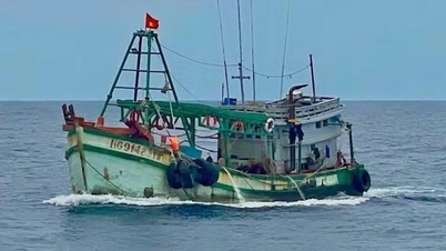 Tomar medidas decisivas para prevenir y combatir la pesca INDNR (INDNR).