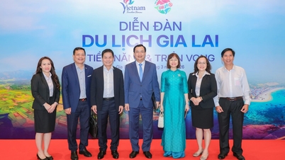 De voorzitter van de raad van bestuur van Vietravel Tourism Group heeft het forum "Toerisme in Gia Lai - Potentieel en vooruitzichten" bijgewoond.
