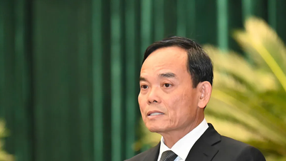 Le secrétaire du Parti de Hô Chi Minh-Ville, Tran Luu Quang, a assisté à la première session du 11e mandat du Conseil populaire de Hô Chi Minh-Ville et y a prononcé un discours.