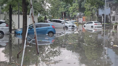 Hanoi werd getroffen door hagelbuien en hevige regenval, wat leidde tot overstromingen in veel gebieden en verkeersontregeling.