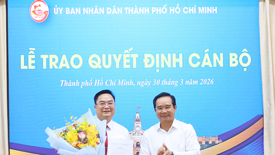 Mr. Hoang Vu Thanh holds the position of Director of the Ho Chi Minh City Department of Finance.