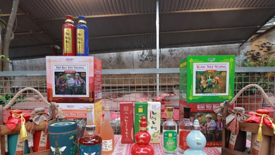 The essence of the Muong ethnic group's culture.