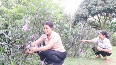 Chiềng Mai commune leaders have effectively directed and implemented the building and practice of grassroots democracy.