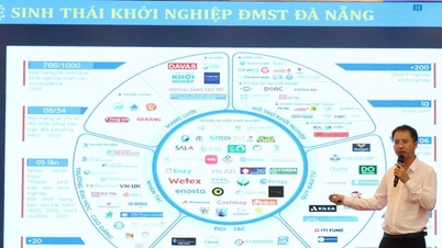 In Da Nang worden trainingen gegeven over de ontwikkeling van het innovatie- en startup-ecosysteem.