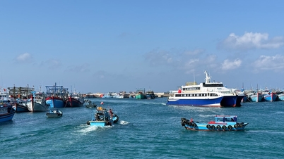 L'île de Phu Quy déploie tout son potentiel en matière d'« économie verte » à l'avant-garde de cette tendance.