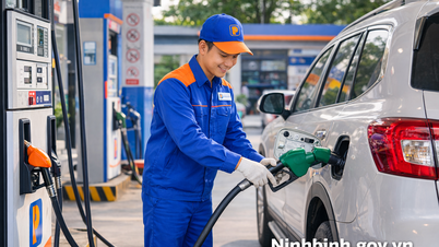 De regering roept op tot intensievere inspanningen om smokkel en handelsfraude in de petroleumsector te bestrijden.
