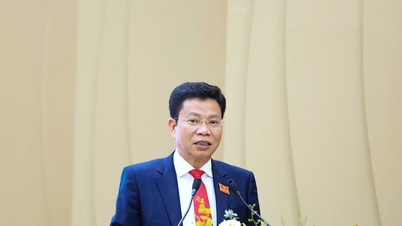 Komite Tetap Dewan Rakyat Provinsi dan Komite-Komite Dewan Rakyat Provinsi, periode ke-11