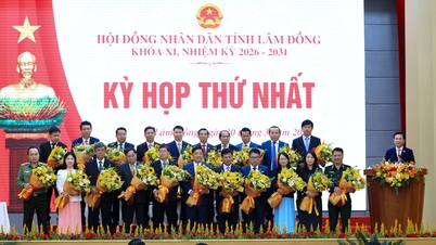 Standing Committee member of the Lam Dong Provincial People's Committee for the 2026-2031 term.