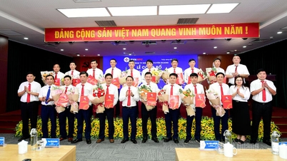 ក្រុមហ៊ុនថាមពល Tuyen Quang ប្រកាសពីការសម្រេចចិត្តប្តូរឈ្មោះក្រុមគ្រប់គ្រងថាមពលក្នុងតំបន់ និងកែសម្រួលតំណែងថ្នាក់ដឹកនាំ។