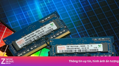 Google provocó que cientos de miles de millones de dólares se esfumaran de la industria de los semiconductores.