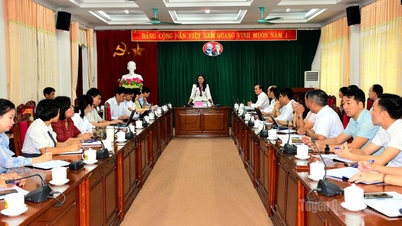 Vuong Ngoc Ha, vice-président du Comité populaire provincial, travaille avec l'université Tan Trao.