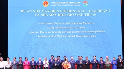 VinEnergo is collaborating on the development of a nearly $8 billion wind power plant complex in Gia Lai.