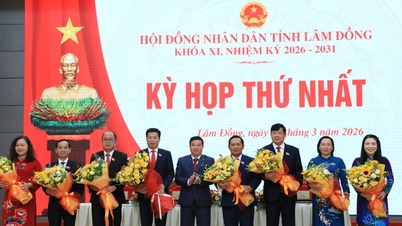 Thường trực và các ban HĐND tỉnh Lâm Đồng khóa XI