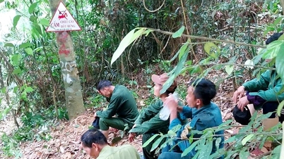Hương Trà không để xảy ra cháy rừng trong năm 2025