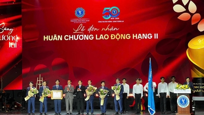 Ho Chi Minh Citys juridiska universitet får andra klassens arbetsmedalj.