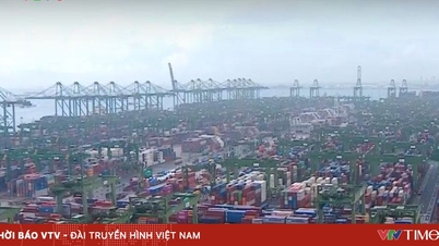 Companiile de logistică din Asia de Sud-Est navighează prin „furtuna prețurilor” din transporturi.