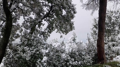 Χιόνι πέφτει στην Αλγερία στα μέσα της άνοιξης.