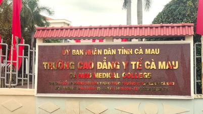 Ca Mau soumet un plan de fusion des facultés de médecine.