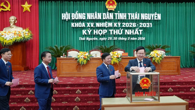 De volksraden van de provincies Thai Nguyen en An Giang hebben belangrijke posities opnieuw ingedeeld.
