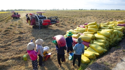 Precios de los fertilizantes hoy, 30 de marzo de 2026: Se mantienen altos y se enfrentan a una presión al alza debido a la oferta y la demanda mundiales.