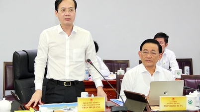 Provinciale leiders ontvingen en werkten samen met Xuan Thien Group Joint Stock Company.