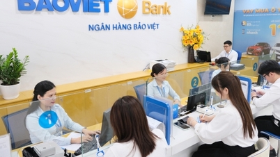 Bank BAOVIET: Meningkatkan kualitas kredit dan mengendalikan risiko.