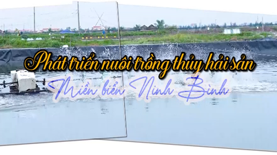 ພັດທະນາການລ້ຽງສັດນ້ຳຢູ່ເຂດແຄມຝັ່ງທະເລຂອງແຂວງນິງບິ່ງ.