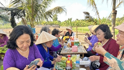 El mercado de Xom Ray "alera el camino" para que los agricultores de Dong Thap se dediquen al turismo.