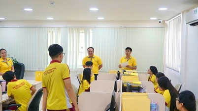 Kota Ho Chi Minh: Model bimbingan karier unik untuk siswa kelas 9 ke atas.