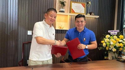 Trzy wyróżniające cechy aluminiowych arkuszy dachowych BBA – materiału ekologicznego – na Międzynarodowej Wystawie Vietbuild Hanoi 2026.