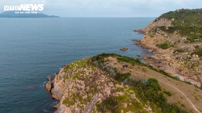 Ανακαλύψτε το Co Thach Hill - το παραθαλάσσιο πέτρινο χωριό που είναι αυτή τη στιγμή στη μόδα στο Dak Lak.