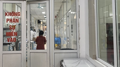 Hanoi rapporterar 17 fall av covid-19 och utbrott av hand-, fot- och klövsjuka.