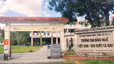 Ca Mau submits plan to merge 4 colleges.