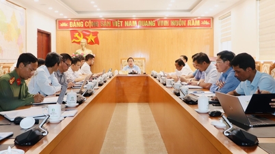 Le vice-président permanent du Comité populaire provincial a donné son avis sur la finalisation du plan général des communes de Nam Cuoi, Nam Ma, Pu Sam Cap et Nam Tam.