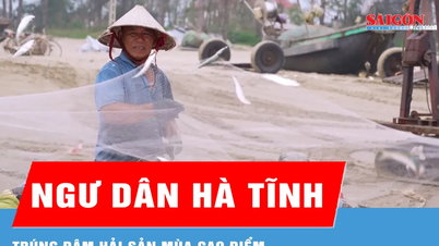Os pescadores da província de Ha Tinh enriquecem com a pesca de frutos do mar durante a alta temporada.