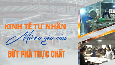 ការបើកចំហរសេដ្ឋកិច្ចវិស័យឯកជនទាមទារឱ្យមានរបកគំហើញពិតប្រាកដមួយ។