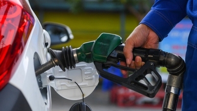 Usulan untuk membebaskan bensin, solar, dan bahan bakar penerbangan dari pajak hingga 30 Juni 2026.
