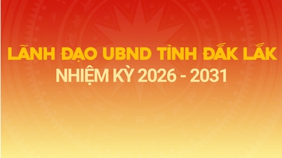 (इन्फोग्राफिक) डैक लक प्रांत की जन समिति के 2026-2031 कार्यकाल के लिए नेता