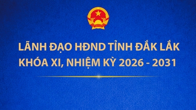 (Инфографика) Лидеры Народного совета провинции Даклак, 11-й срок, 2026-2031 гг.