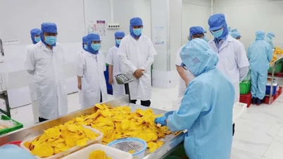 Potenciando la gastronomía vietnamita: Cambiando la mentalidad de producción hacia un enfoque de cadena de valor.
