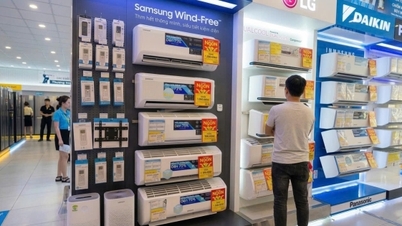 Los consumidores están cambiando sus hábitos y priorizando los electrodomésticos de bajo consumo energético.
