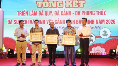 Summary of the organization of the 2026 Gemstone, Ornamental Stone and Ornamental Plants Exhibition