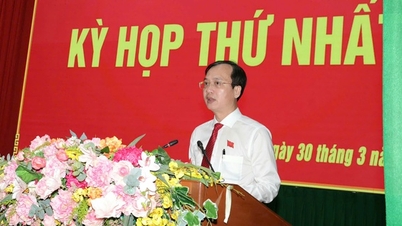 Mr. Tran Tri Quang was re-elected as Chairman of the People's Committee of Vinh Long province.