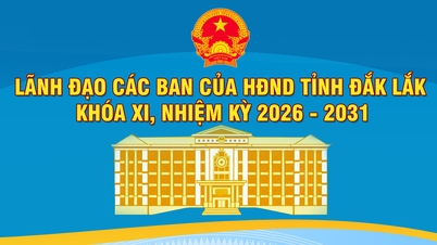 (Infographic) Leaders of the Committees of the Dak Lak Provincial People's Council, 11th term, 2026-2031