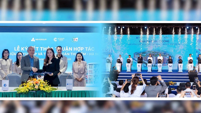 La escuela Meyschool Doan Thi Diem Phu Quoc está matriculando estudiantes de 1.º a 8.º grado, y ofrece numerosas becas atractivas.
